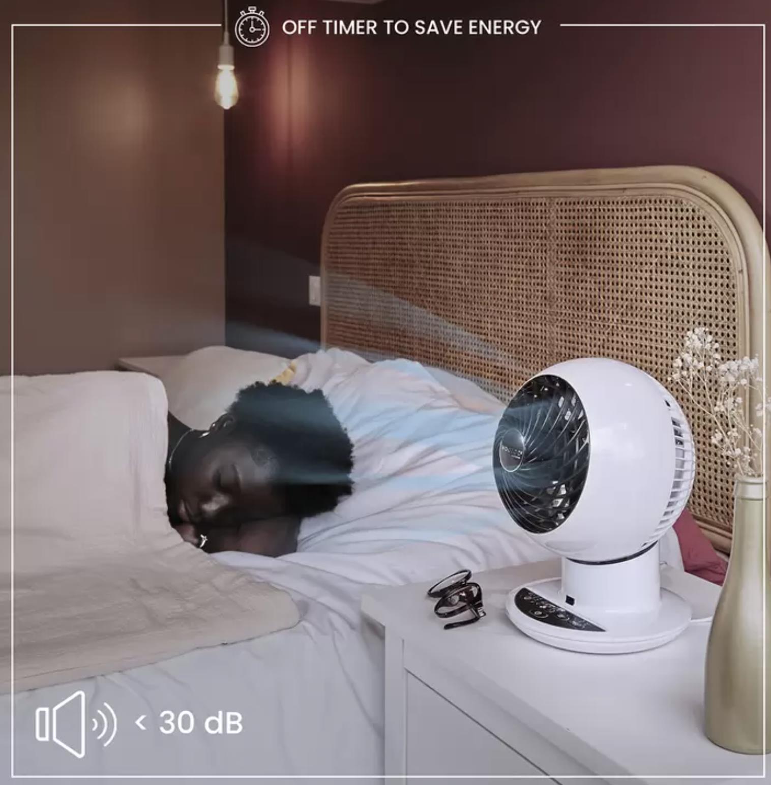 Iris Ohyama WooZoo Globe Air Circulator Fan with Remote Control, PCF-SC15T - Image 7