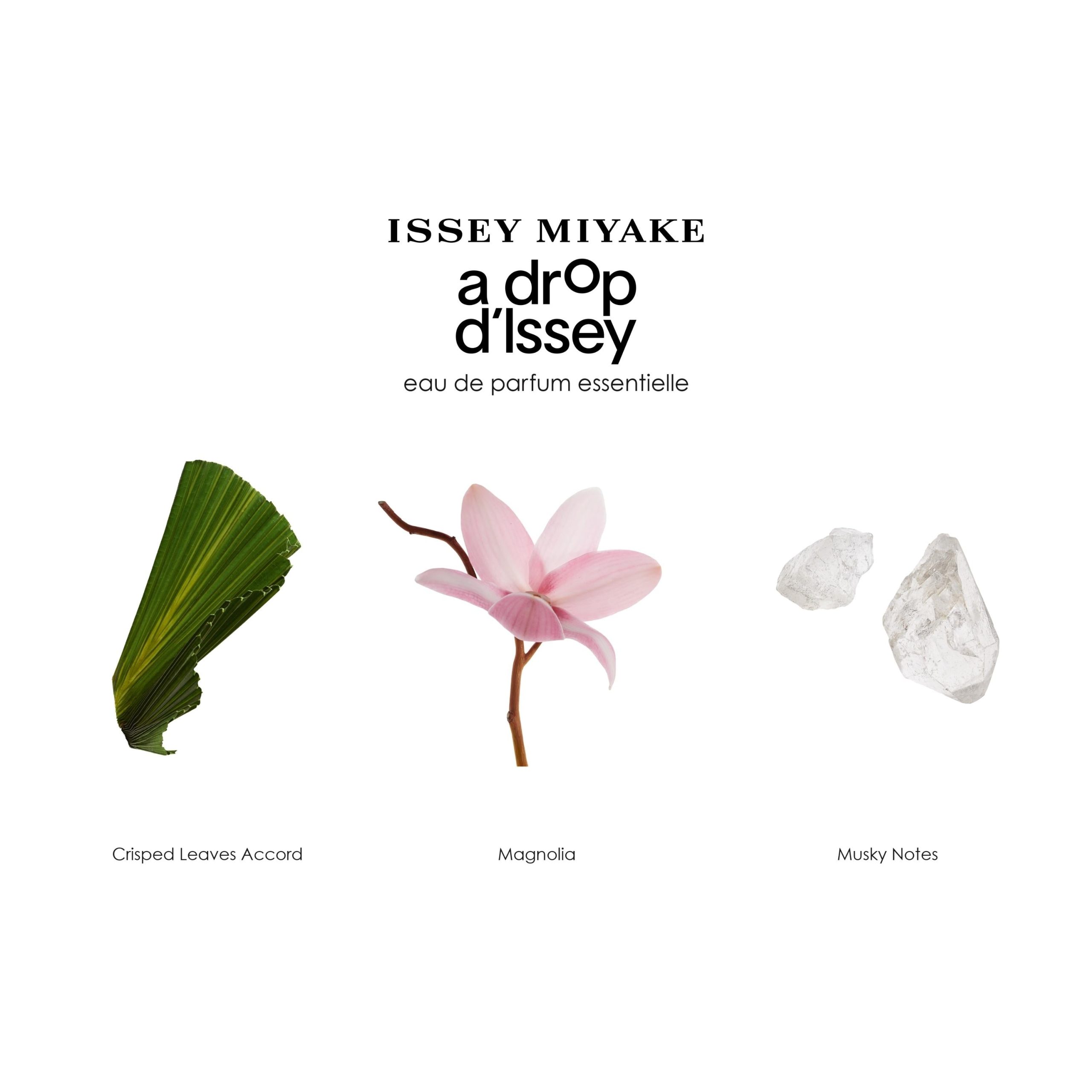 Issey Miyake A Drop D'issey Essentielle Eau De Parfum Spray 50ml - Image 4