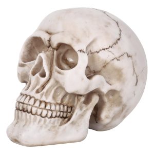 Vinsani Halloween Skull